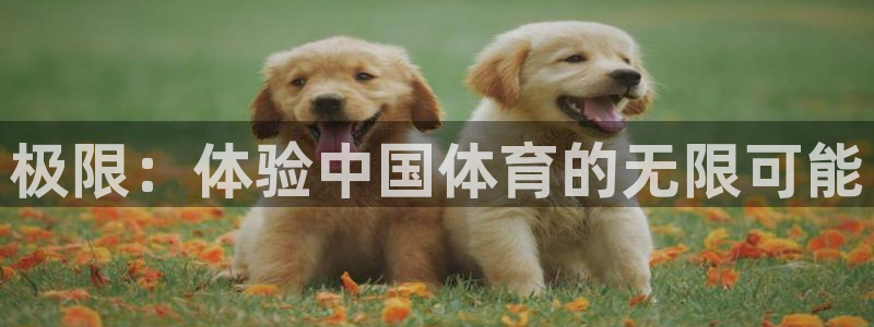 杏宇招商