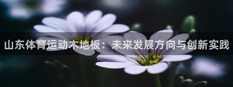 杏宇体育凯捷平台主管
