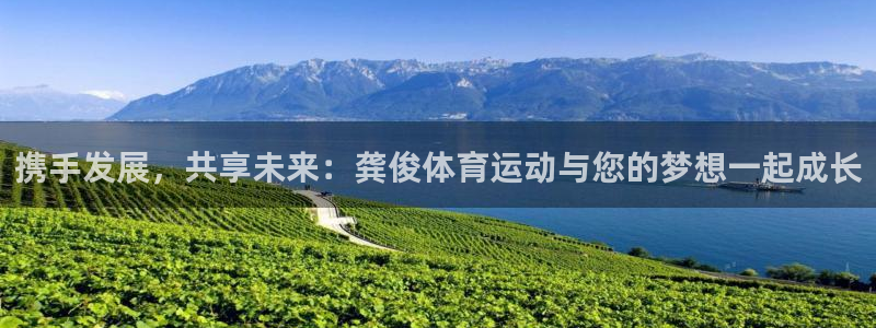 杏宇电子有限公司