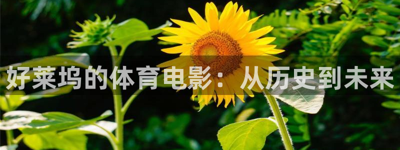 杏宇体育凯捷平台代理