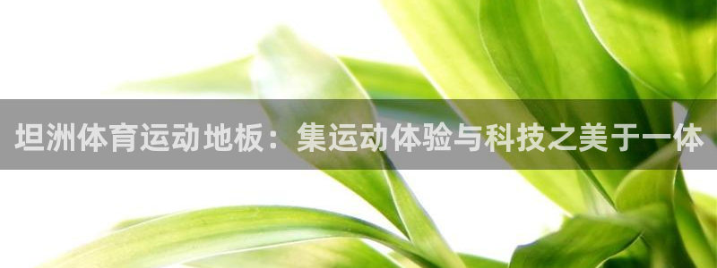 杏宇登录注册