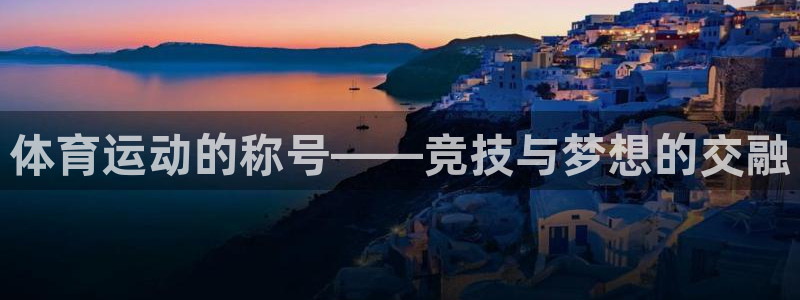 杏宇代理