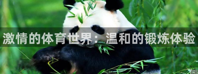 杏宇f凯捷注册