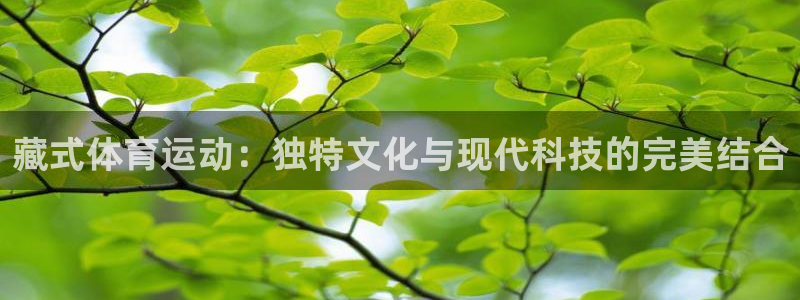 杏宇3代理