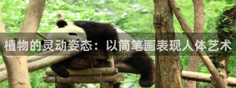 意昂平台注册