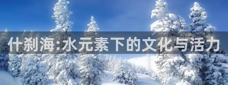 杏宇4代理