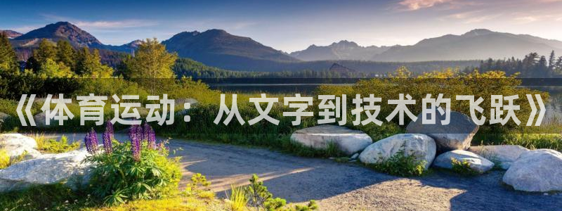 杏宇3官网登录