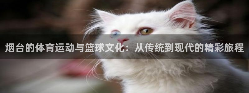 杏宇凯捷平台注册链接