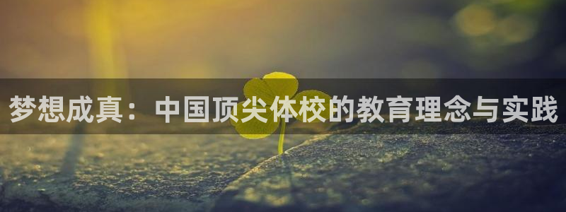 杏宇平台总代理