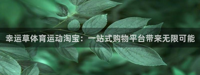上海杏宇汽车电子有限公司