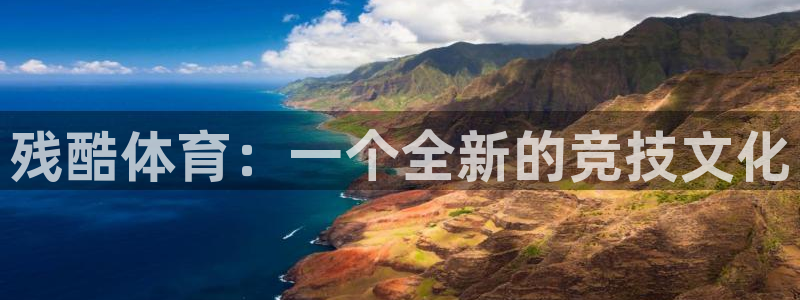 杏宇体育凯捷平台代理