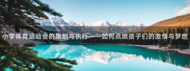 杏宇登录