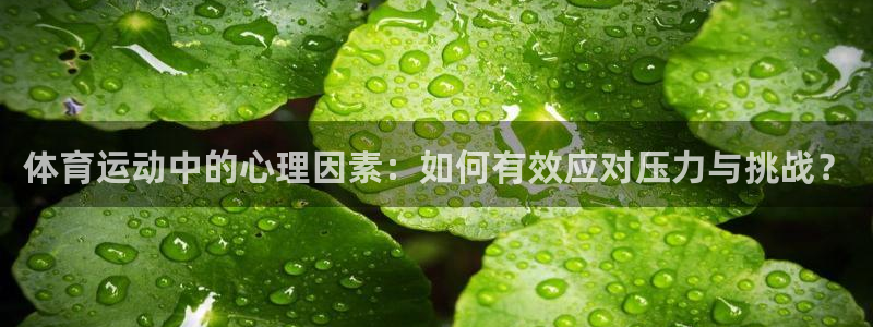 杏宇体育凯捷代理注册