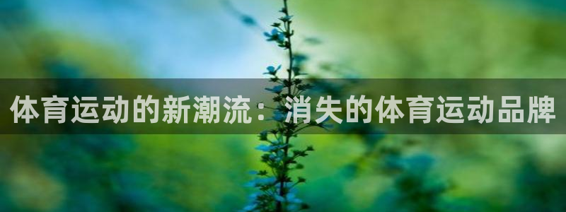 杏宇2体育