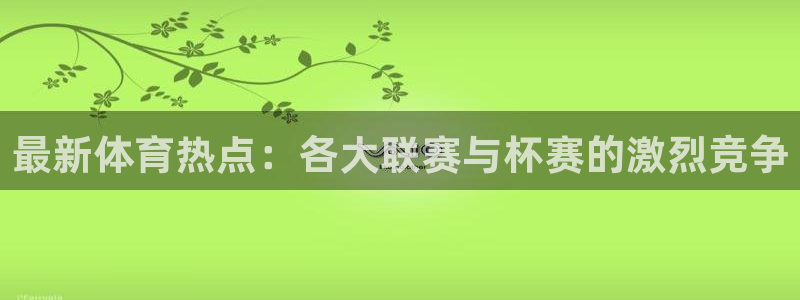 杏宇体育2官网入口