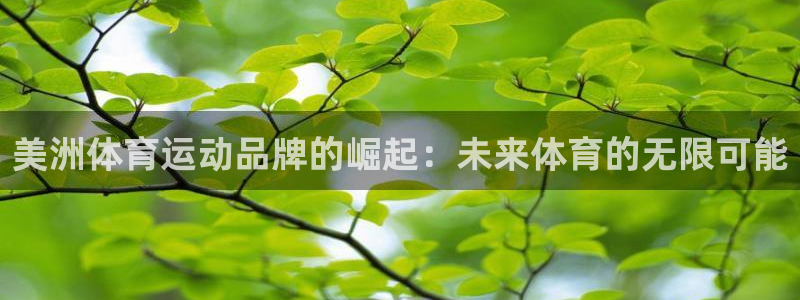 德国杏宇集团