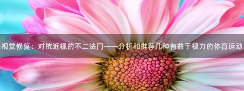 杏宇3代理