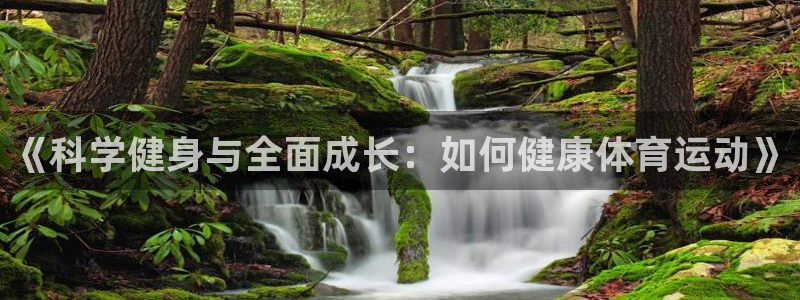 杏宇体育官网注册