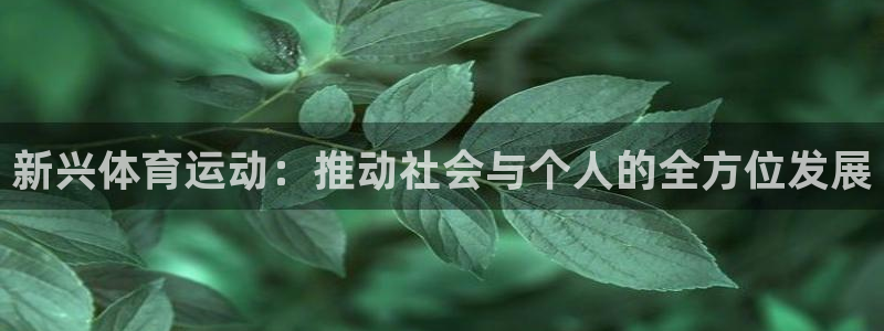 杏宇体育f开户