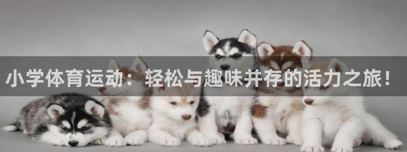 意昂代理注册官网入口